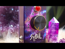 在图库查看器中加载和播放视频，Sybil Expression Device

