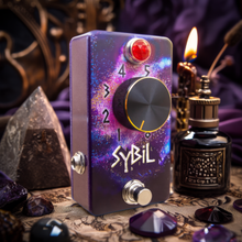 将图片加载到图库查看器，Sybil Expression Device
